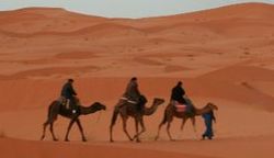 Sahara, trekking de chameau