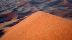 Sahara, trekking de chameau