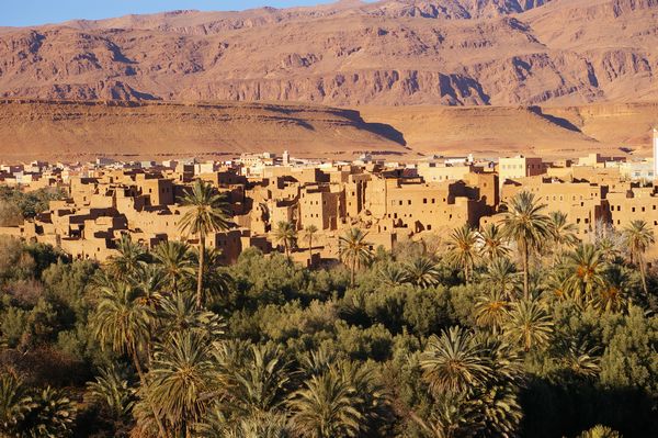 Tour Marrakech to Desert