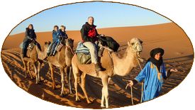 SAHARA desert Merzouga Chameau