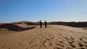 SAHARA desert Merzouga Chameau