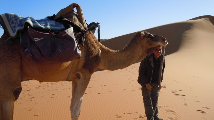 desert in morocco